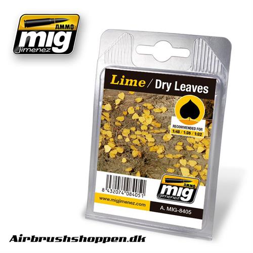 A.MIG-8405 LIME - DRY LEAVES